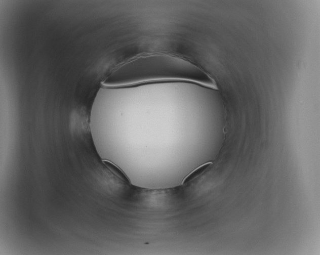 X0000112200384200908211545