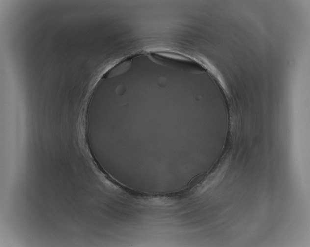 X0000112200385200908211545