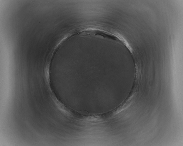 X0000112200386200908211545