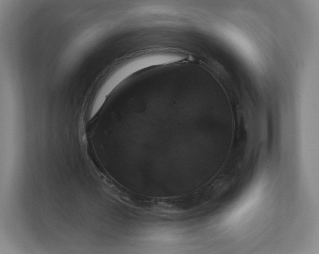 X0000112200387200908211545