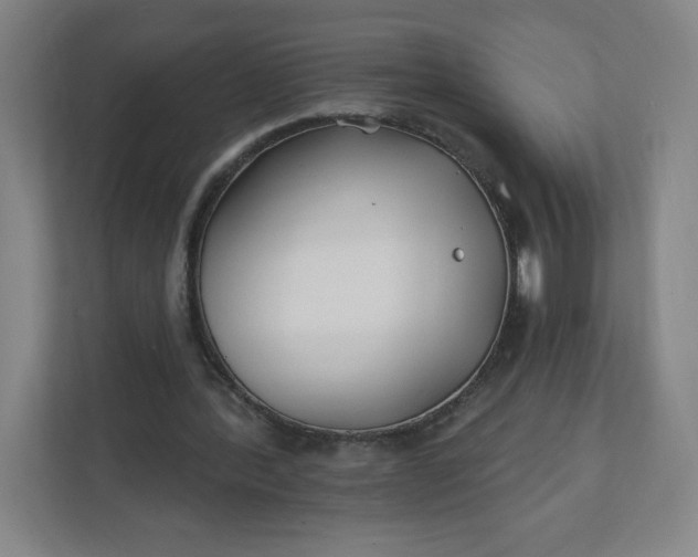 X0000112200388200908211545