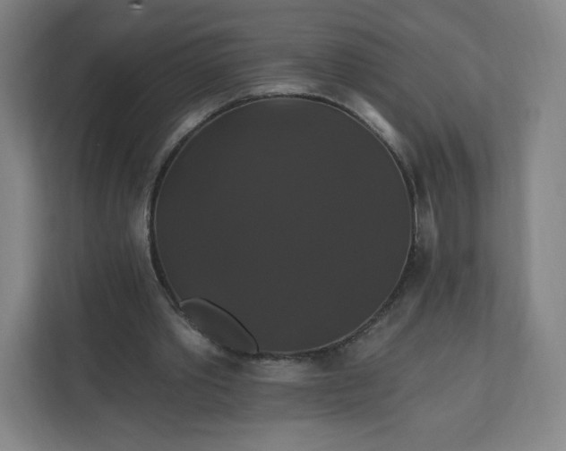 X0000112200389200908211545