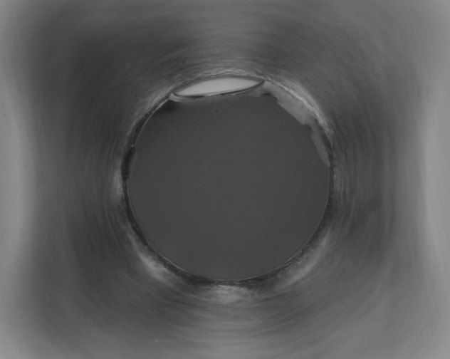 X0000112200393200908211545