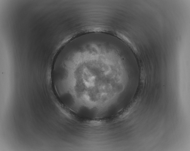 X0000112200394200908211545