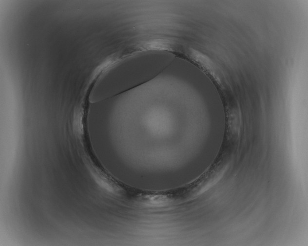 X0000112200395200908211545