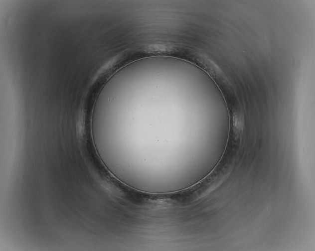 X0000112200396200908211545