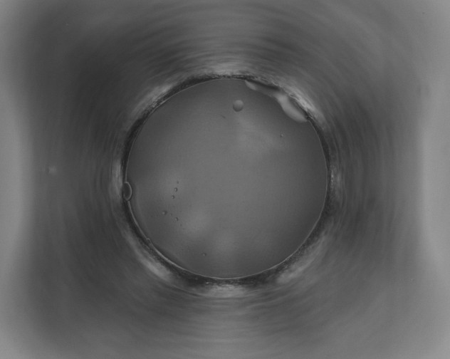 X0000112200397200908211545