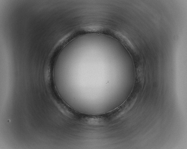 X0000112200400200908211545