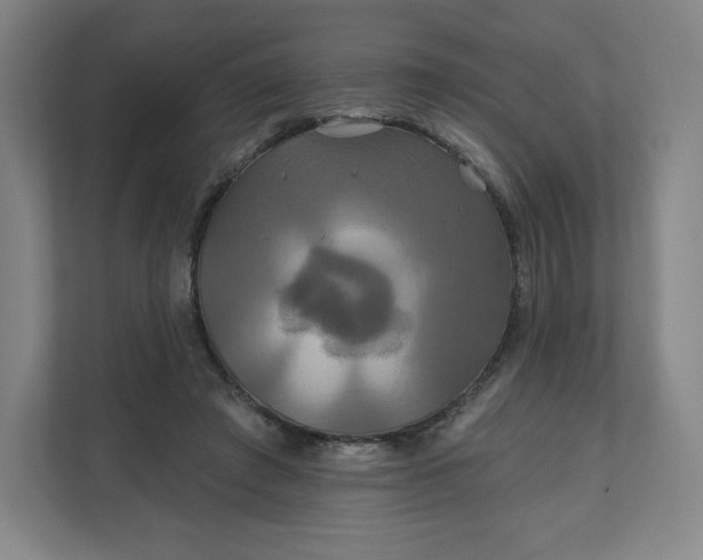 X0000112200401200908211545