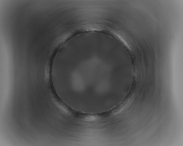 X0000112200402200908211544