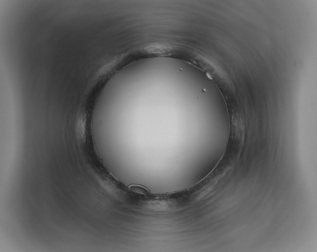 X0000112200404200908211544