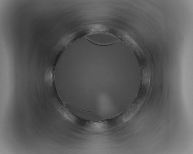 X0000112200405200908211544