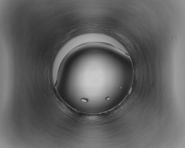 X0000112200409200908211544