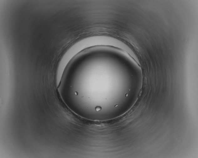 X0000112200411200908211544