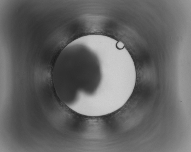 X0000112200415200908211544