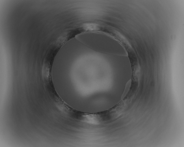 X0000112200417200908211544