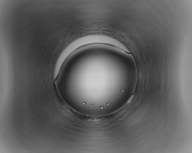 X0000112200419200908211544