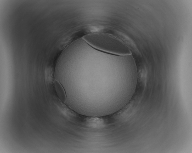 X0000112200421200908211544