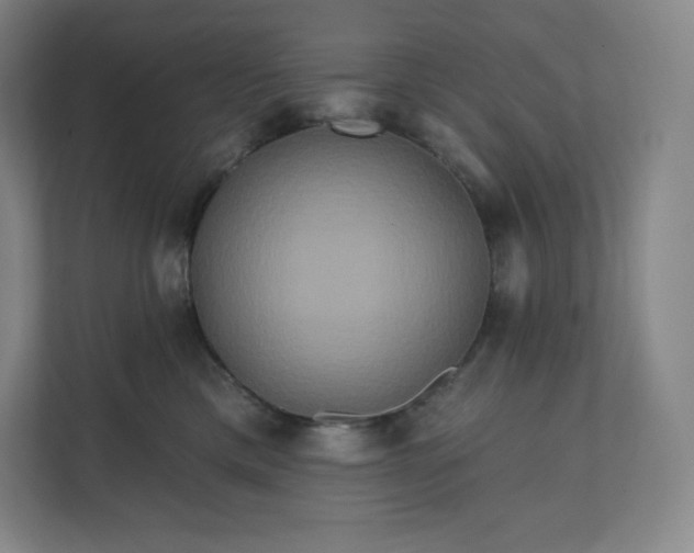 X0000112200425200908211544