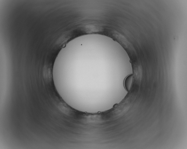 X0000112200426200908211544