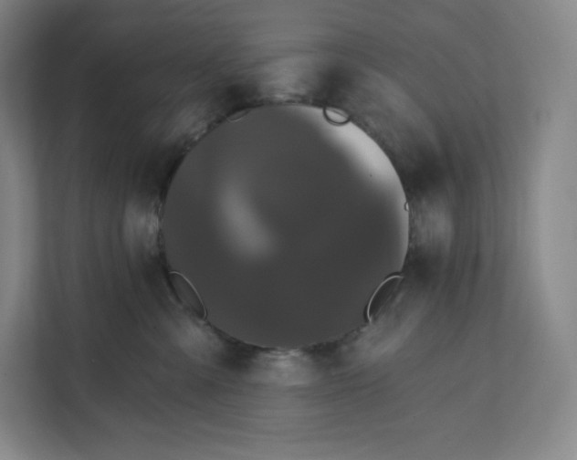 X0000112200427200908211544