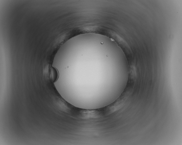 X0000112200428200908211544