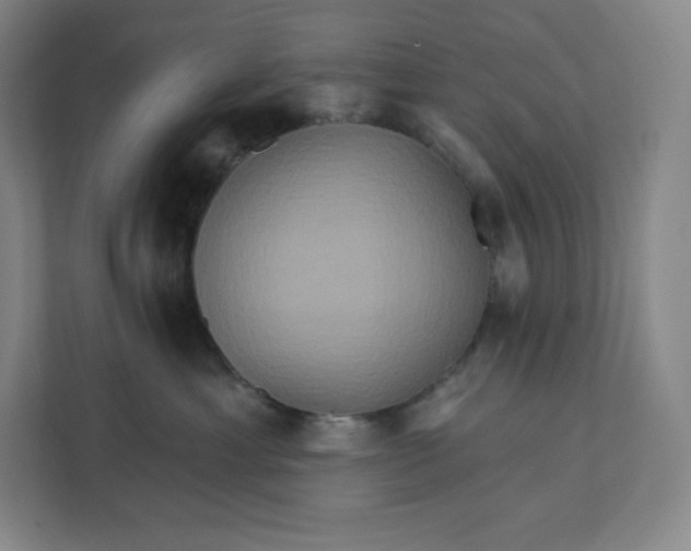 X0000112200429200908211544