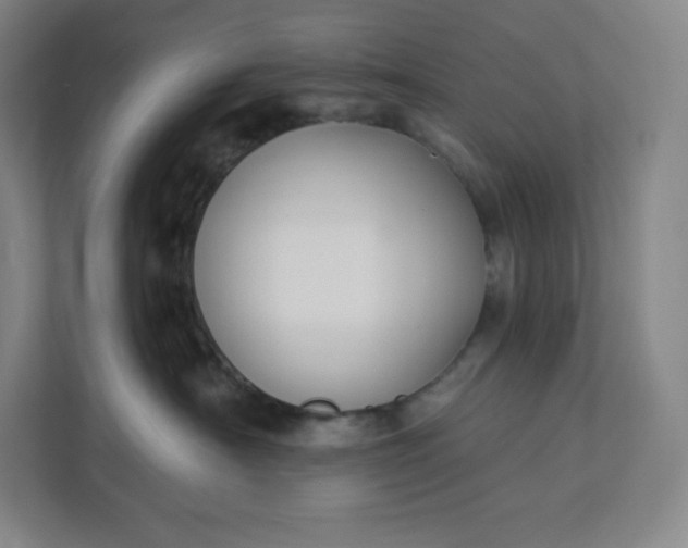 X0000112200430200908211544