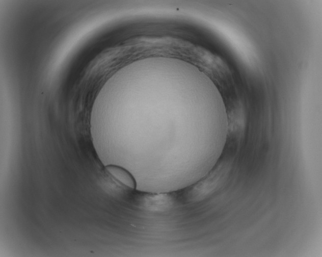 X0000112200431200908211544