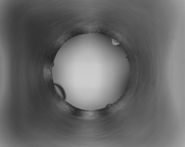 X0000112200432200908211544