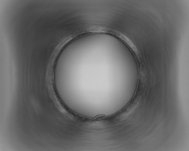 X0000112200433200908211543