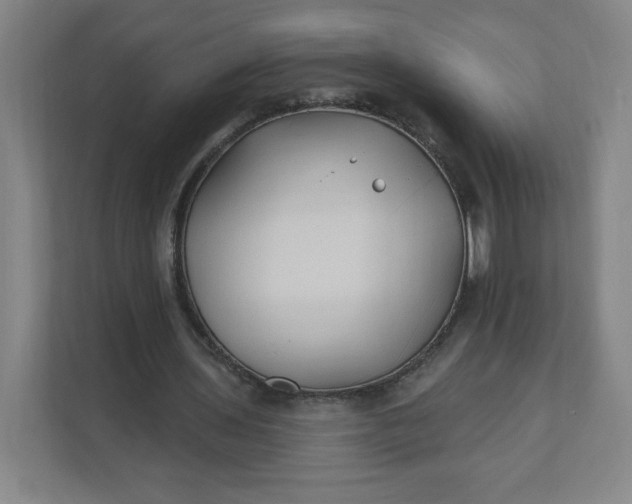 X0000112200435200908211544