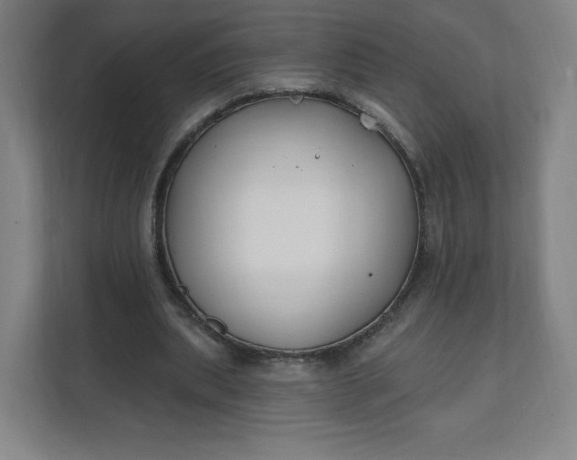 X0000112200439200908211544