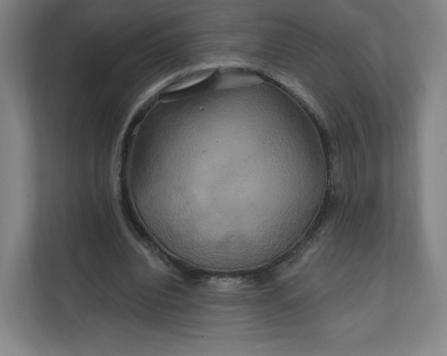 X0000112200440200908211544