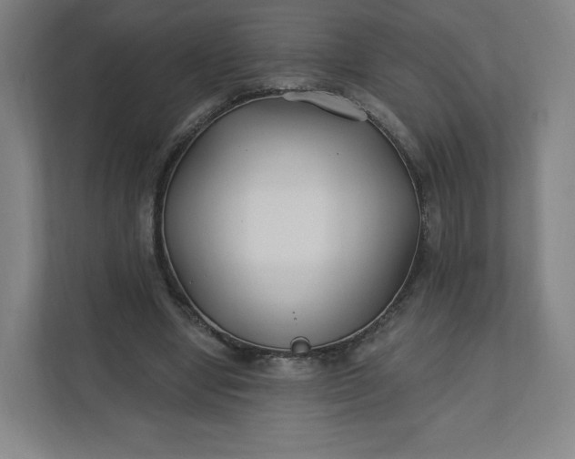 X0000112200442200908211544