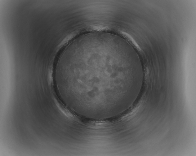 X0000112200443200908211544