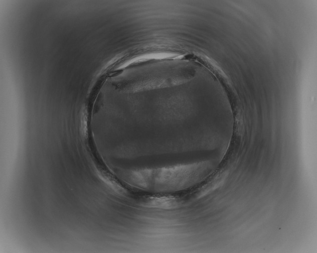 X0000112200446200908211544