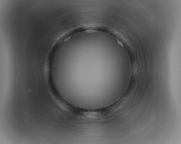 X0000112200448200908211544