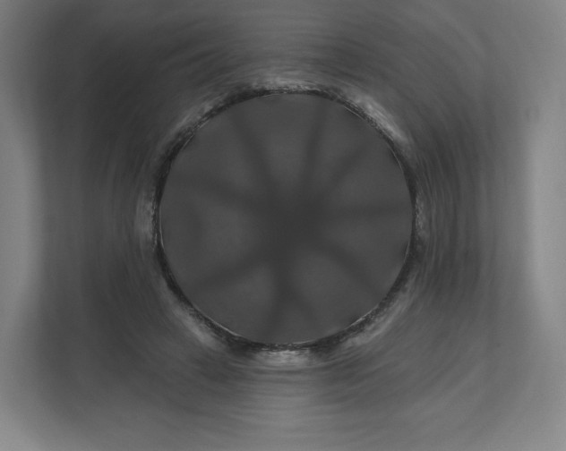 X0000112200449200908211544