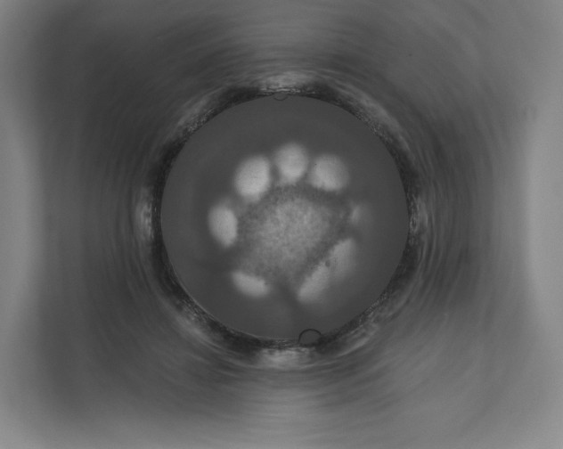 X0000112200452200908211544