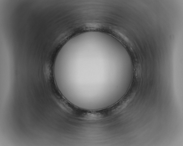 X0000112200455200908211544