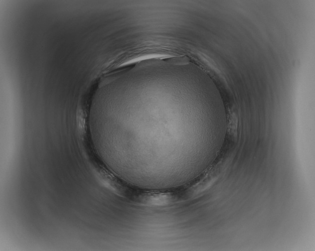 X0000112200456200908211544