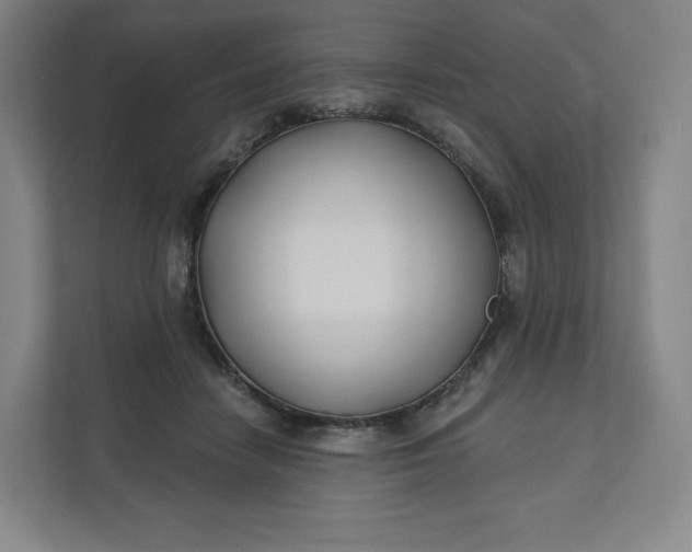 X0000112200458200908211544