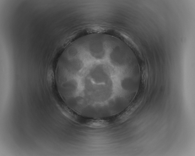 X0000112200459200908211544