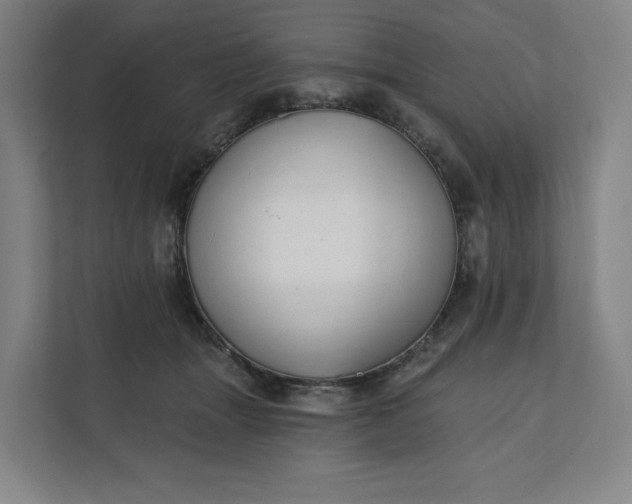 X0000112200463200908211544