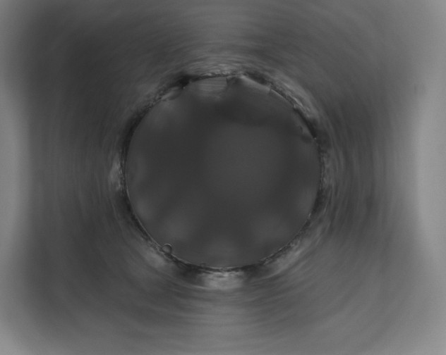 X0000112200465200908211544