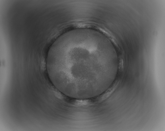 X0000112200469200908211544