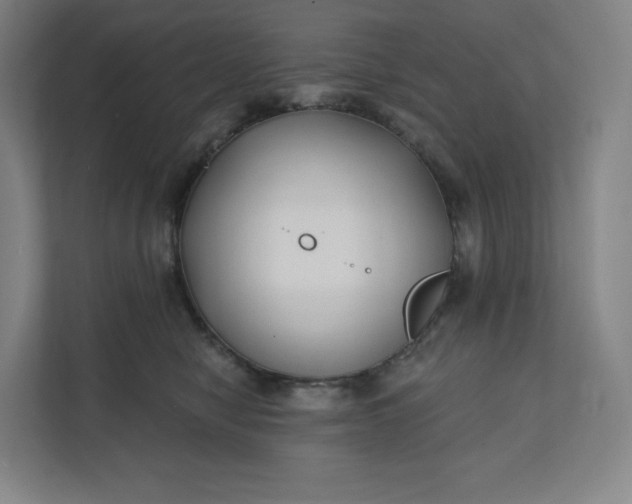 X0000112200470200908211544