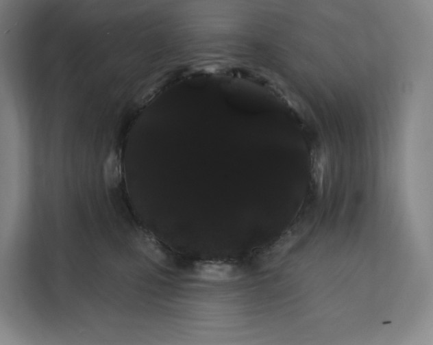 X0000112200471200908211544