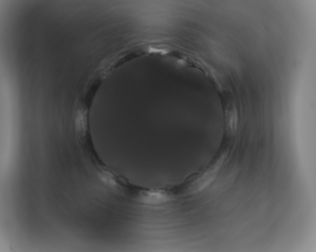 X0000112200475200908211544